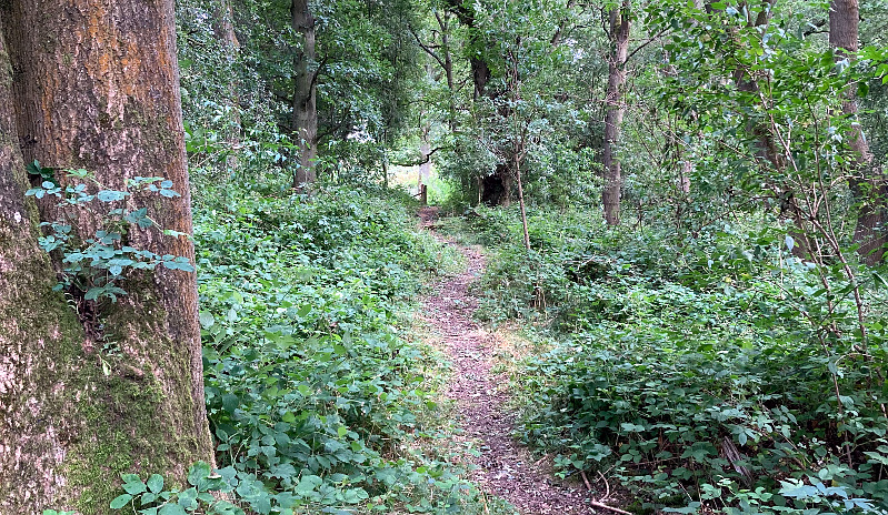 Waypoint 13